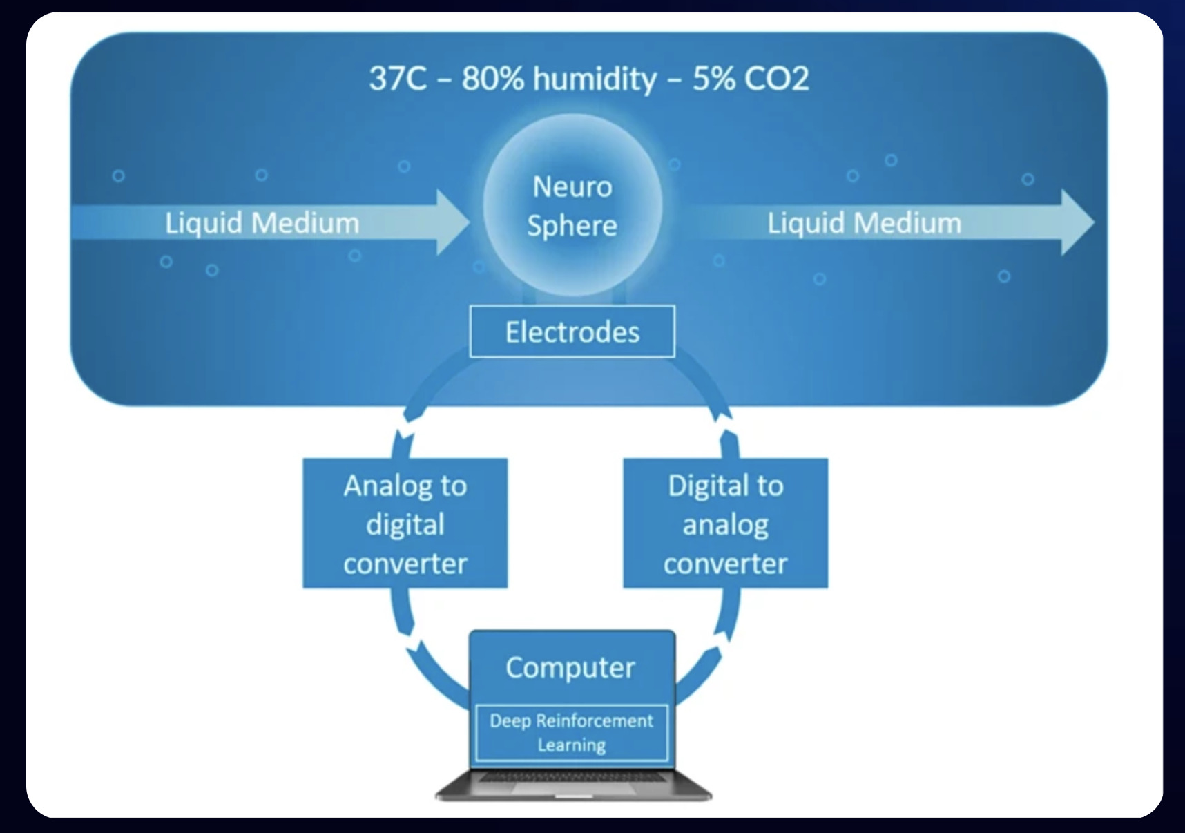 Flow Bio Komputer